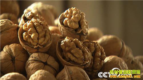 �¸����������������800��(20170912)