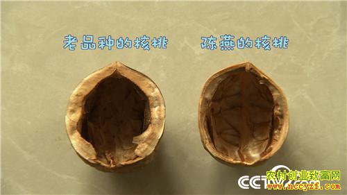 �¸����������������800��(20170912)