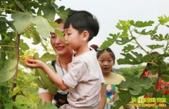 ɽ��������������ֲ�޻���Ķ����5000��Ԫ