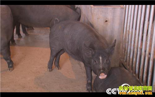 [�¸���]���׵�һ���� Ů������������ʵ�� 20181008