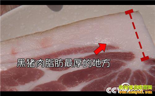 [�¸���]���׵�һ���� Ů������������ʵ�� 20181008