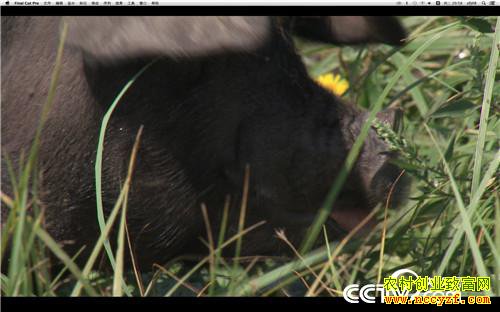 [�¸���]���׵�һ���� Ů������������ʵ�� 20181008