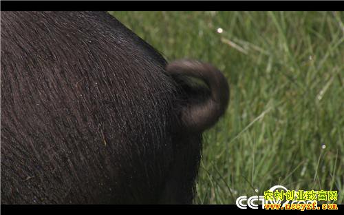 [�¸���]���׵�һ���� Ů������������ʵ�� 20181008