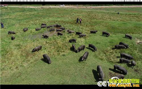 [�¸���]���׵�һ���� Ů������������ʵ�� 20181008