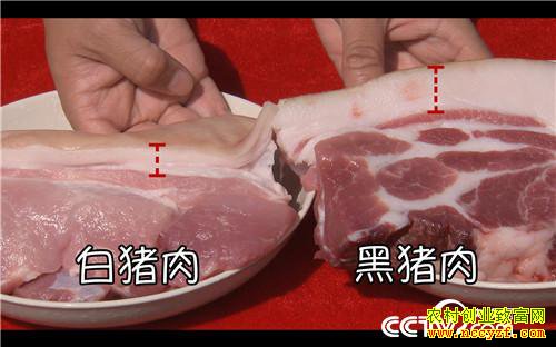 [�¸���]���׵�һ���� Ů������������ʵ�� 20181008