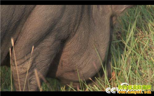 [�¸���]���׵�һ���� Ů������������ʵ�� 20181008