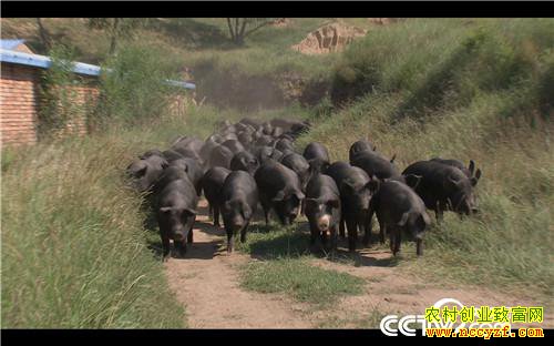 [�¸���]���׵�һ���� Ů������������ʵ�� 20181008