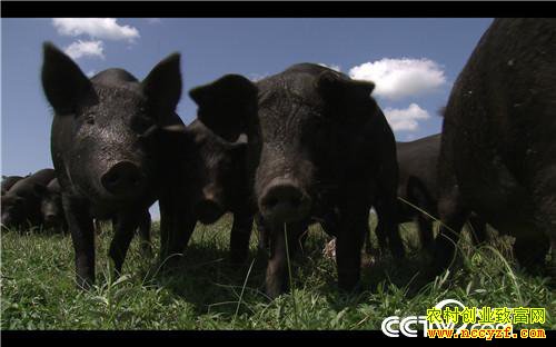 [�¸���]���׵�һ���� Ů������������ʵ�� 20181008