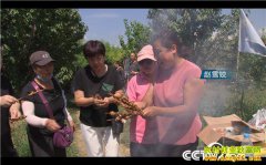 [�¸���]�ӱ���Դ��ѩ�����������ǧ��Ƹ�