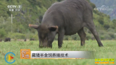 [ũ�����]������������ֳ������Ƶ