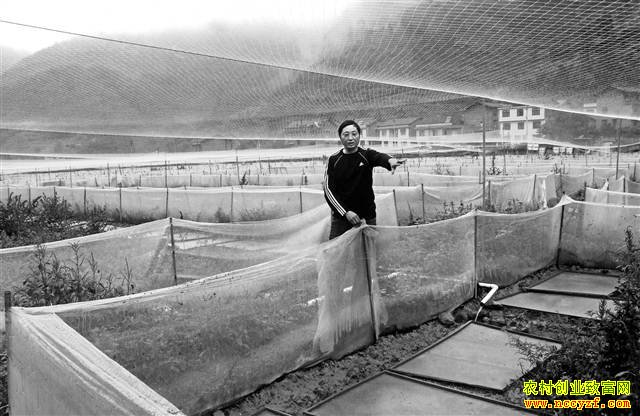 �����ϴ���������ֳ������ ��̬����Ч���