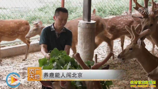 [ũ�����]��������¹�����Թ㻪��������¹