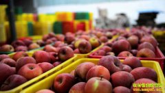 �������������������ƻ���������������۸�