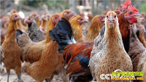 [�¸���]�������ϴ����� ����׬����ǧ�� 20181023 