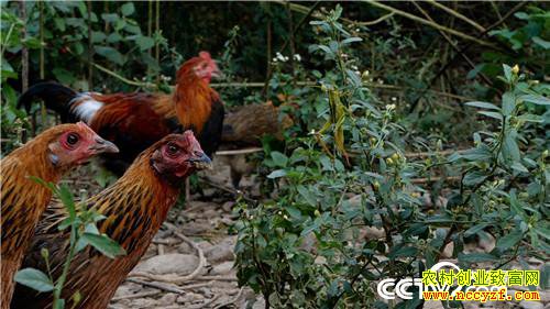 [�¸���]�������ϴ����� ����׬����ǧ�� 20181023 