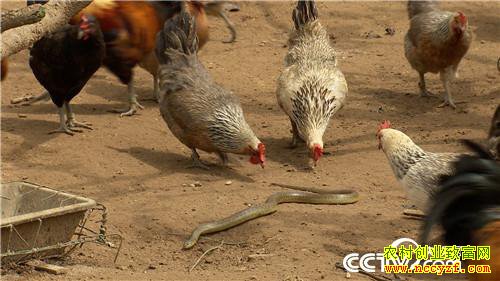 [�¸���]�������ϴ����� ����׬����ǧ�� 20181023 