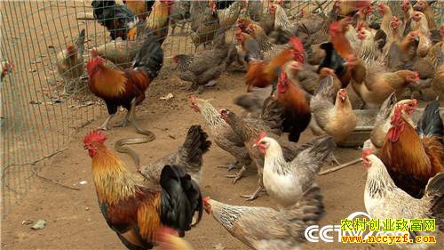 [�¸���]�������ϴ����� ����׬����ǧ�� 20181023 