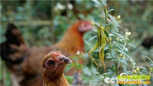 [�¸���]�������ϴ����� ����׬����ǧ�� 20181023 