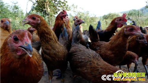 [�¸���]�������ϴ����� ����׬����ǧ�� 20181023 