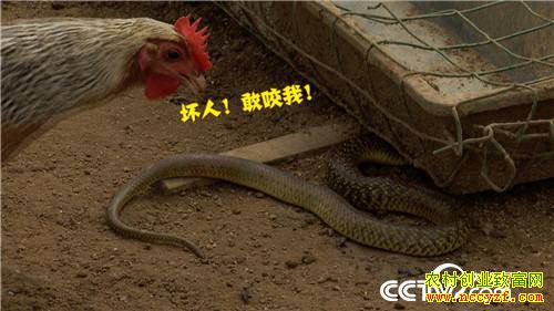 [�¸���]�������ϴ����� ����׬����ǧ�� 20181023 