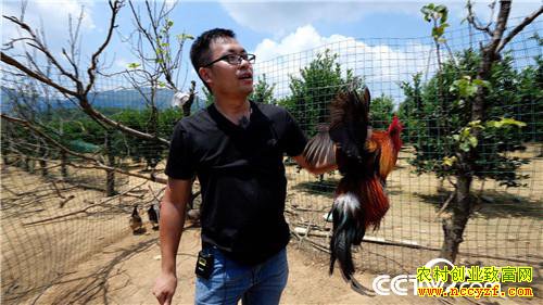 [�¸���]�����˰��غ������������׬����ǧ��