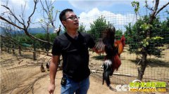 [�¸���]�����˰��غ������������׬����ǧ��