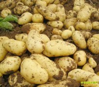 2018���������۸��²��� ������������ɫ