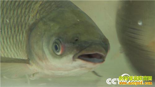 [�¸���]�������ϡ��ܲ����� ���ĲƸ���ϡ�� 20181025 