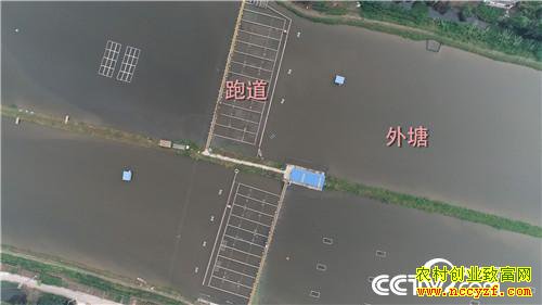 [�¸���]�������ϡ��ܲ����� ���ĲƸ���ϡ�� 20181025 