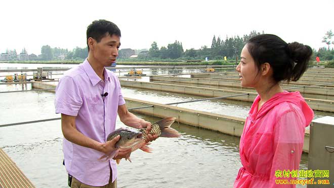 [�¸���]�������ϡ��ܲ����� ���ĲƸ���ϡ�� 20181025