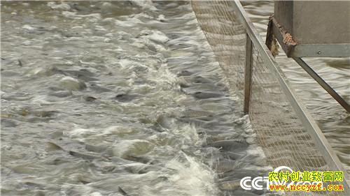 [�¸���]�������ϡ��ܲ����� ���ĲƸ���ϡ�� 20181025 