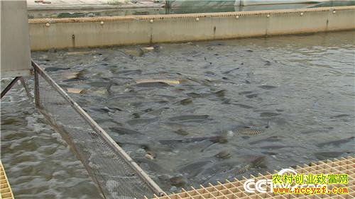 [�¸���]�������ϡ��ܲ����� ���ĲƸ���ϡ�� 20181025 