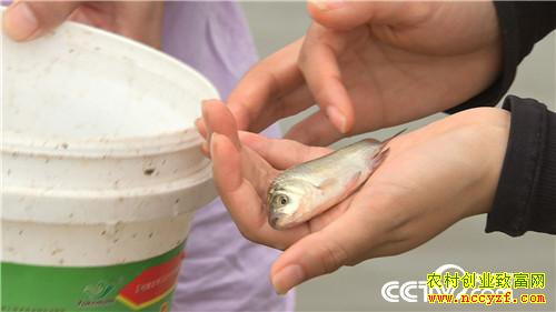 [�¸���]�������ϡ��ܲ����� ���ĲƸ���ϡ�� 20181025 