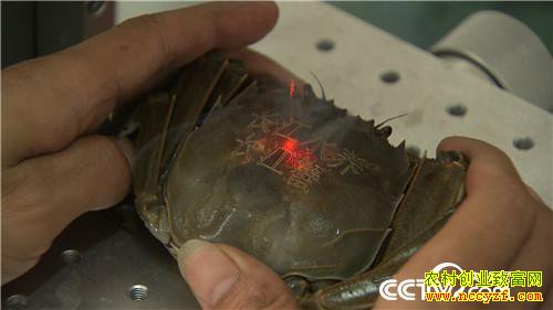 [�¸���]�������ϡ��ܲ����� ���ĲƸ���ϡ�� 20181025 