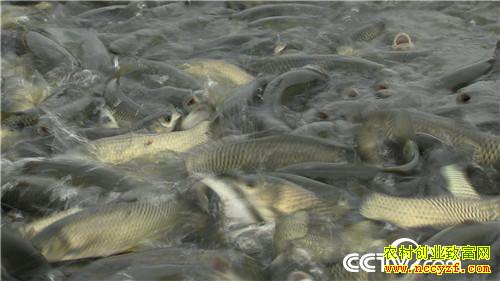 [�¸���]�������ϡ��ܲ����� ���ĲƸ���ϡ�� 20181025 