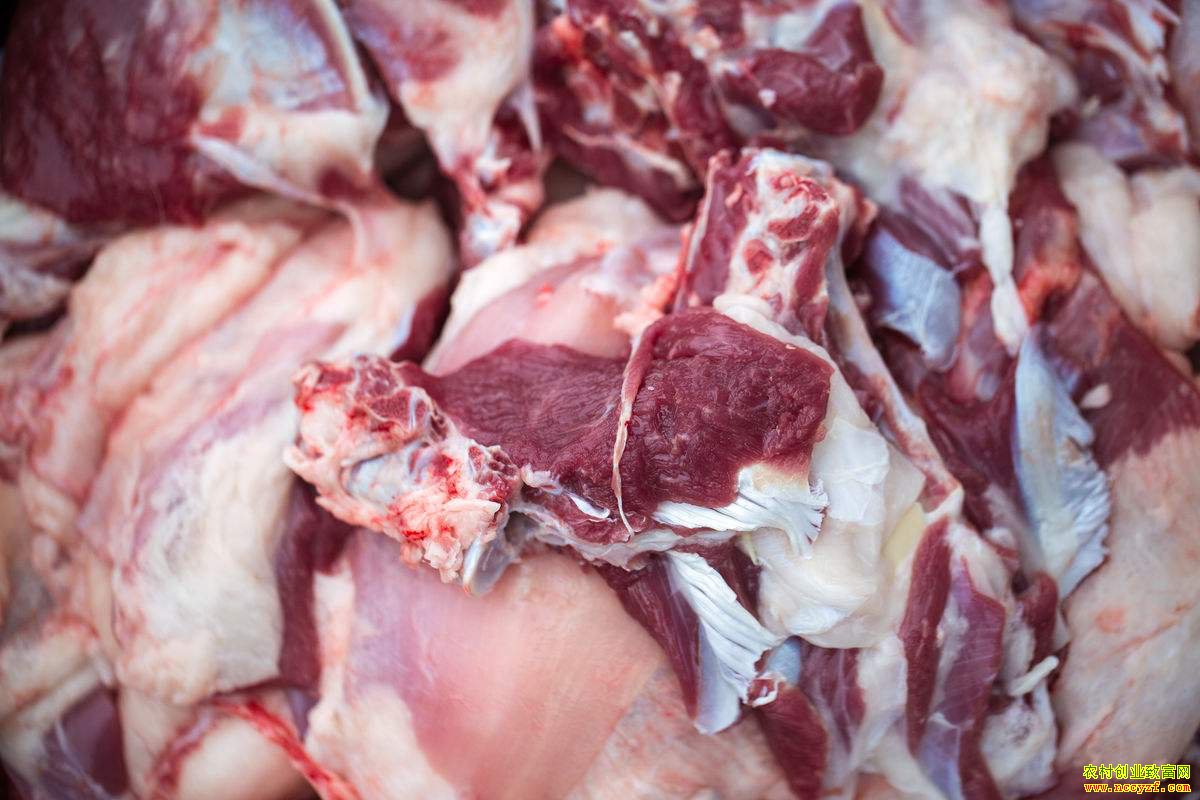 ������������������ 2018������۸��������