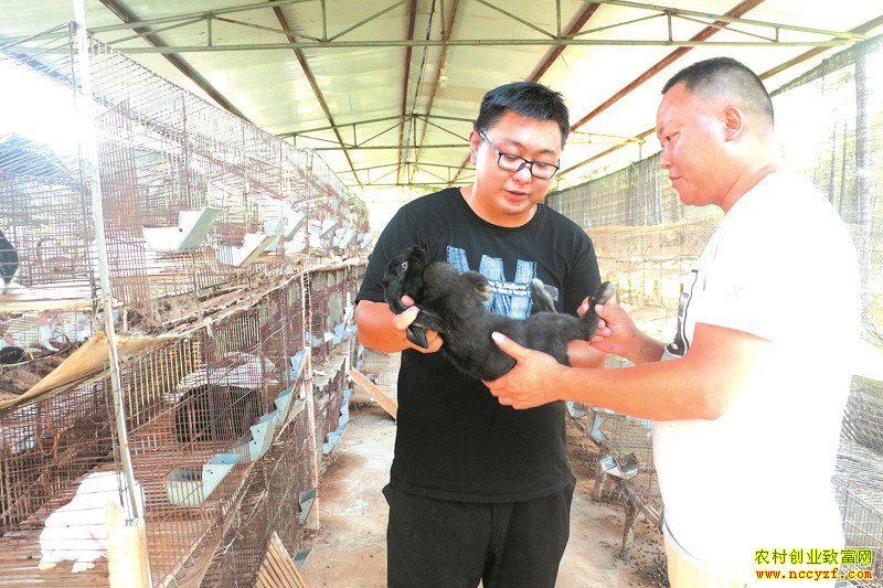 �Ĵ����ݳ�ǿ������ ��⨺��� ����ѭ��������50��Ԫ