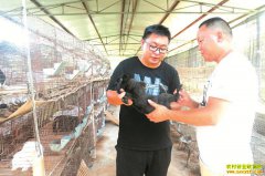 �Ĵ����ݳ�ǿ������ ��⨺��� ����ѭ��������50��Ԫ