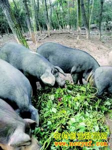 �������� �������� �㽭���¡����ġ�ʢ��»�������¸���