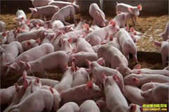 ����������ά�ֵ������¸���