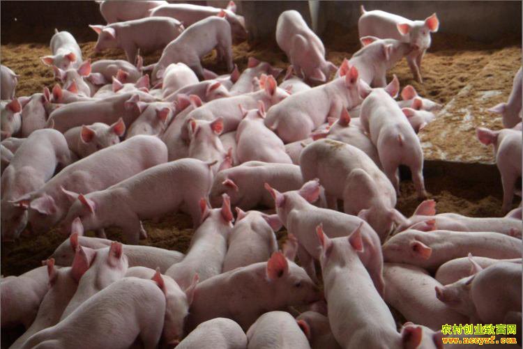 ����������ά�ֵ������¸���