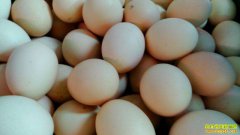 �ļ��ȼ����۸�ӭһ��������