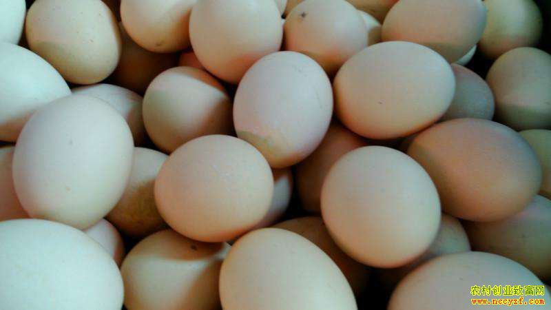 �ļ��ȼ����۸�ӭһ��������