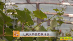 [ũ�����]�÷賤������达��� �������������������и���