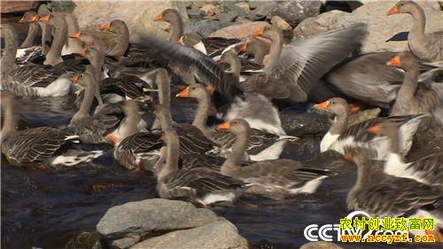 [�¸���]�����Ŷ� �òƸ������� 20181029 