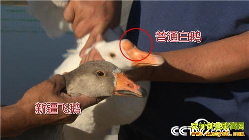 [�¸���]�����Ŷ� �òƸ������� 20181029 