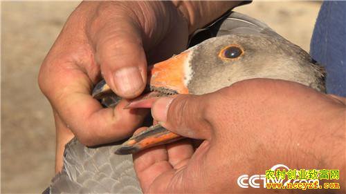 [�¸���]�����Ŷ� �òƸ������� 20181029 