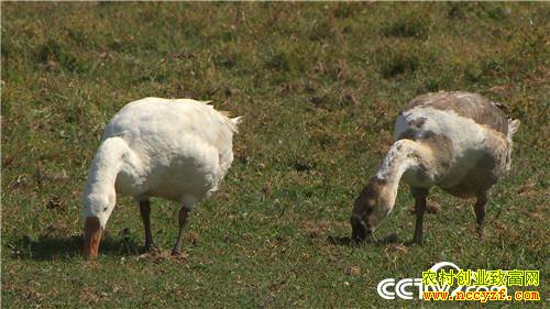 [�¸���]�����Ŷ� �òƸ������� 20181029 