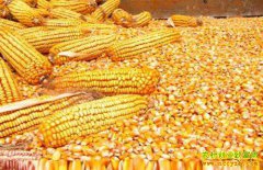 ����ƭ������� ũ��С�ı��ϵ�