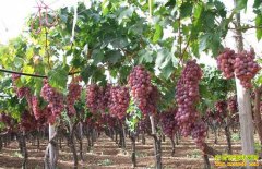 ɽ����ƽ�����2Ķ������������70Ķ����Ǯ